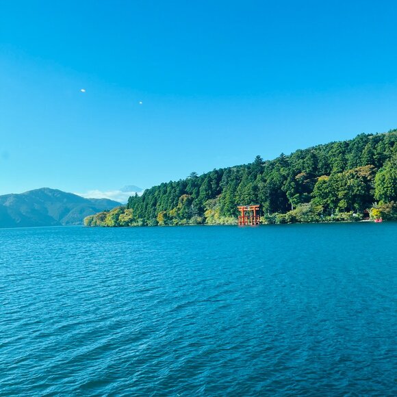 Meet your Posher, Jessica - Picture 3 of 3